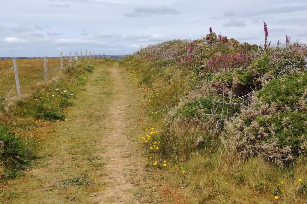 Farm Accommodation - The Lizard Peninsula, Cornwall Хелстън Екстериор снимка
