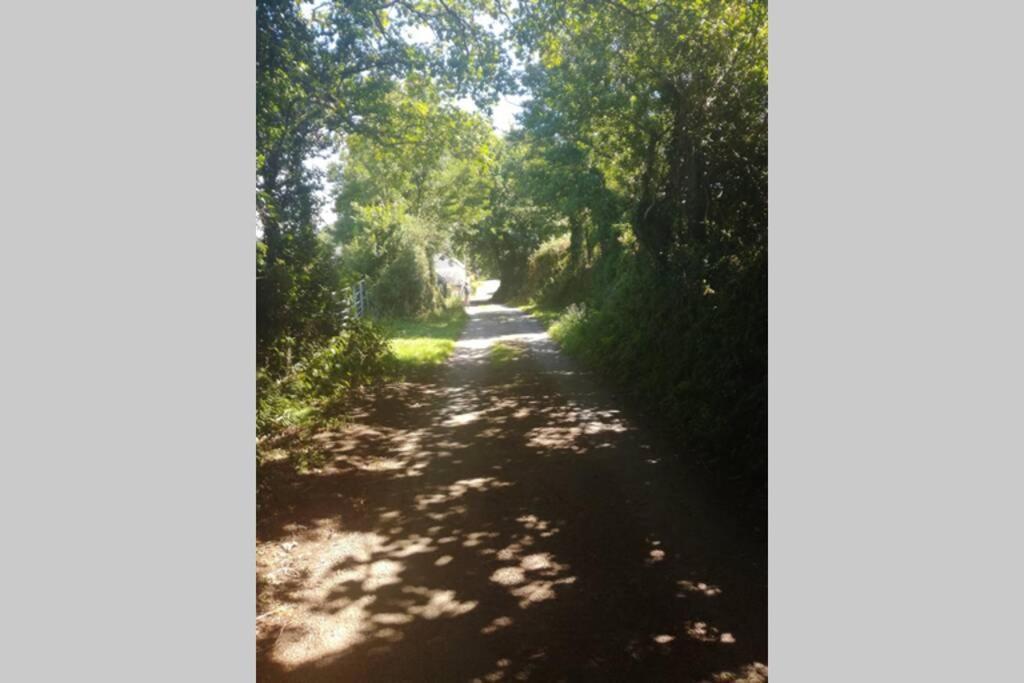 Farm Accommodation - The Lizard Peninsula, Cornwall Хелстън Екстериор снимка