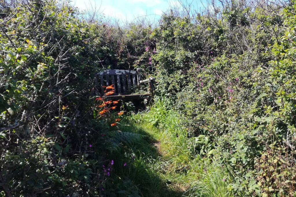 Farm Accommodation - The Lizard Peninsula, Cornwall Хелстън Екстериор снимка
