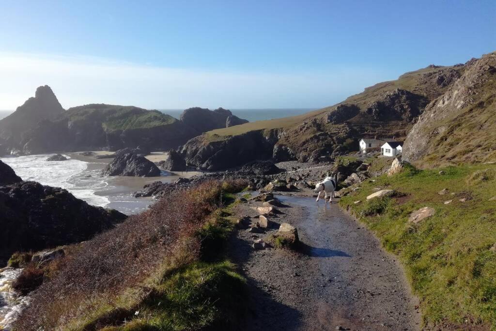 Farm Accommodation - The Lizard Peninsula, Cornwall Хелстън Екстериор снимка