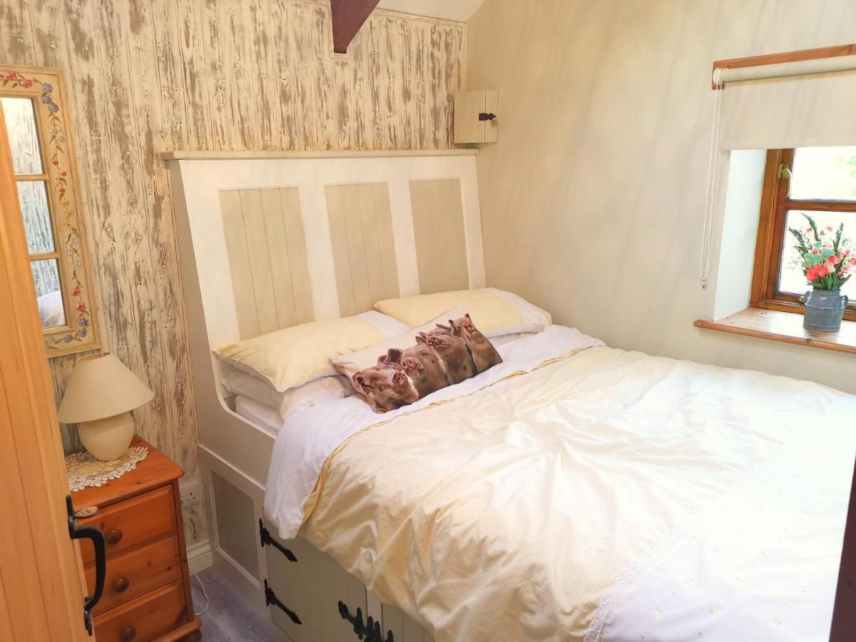 Farm Accommodation - The Lizard Peninsula, Cornwall Хелстън Екстериор снимка