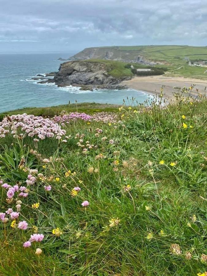 Farm Accommodation - The Lizard Peninsula, Cornwall Хелстън Екстериор снимка