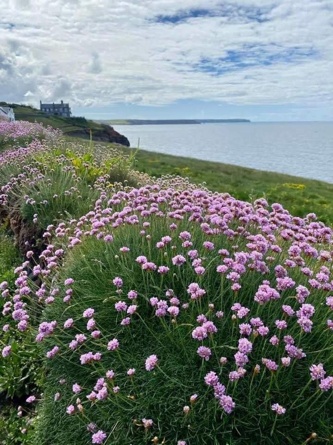 Farm Accommodation - The Lizard Peninsula, Cornwall Хелстън Екстериор снимка