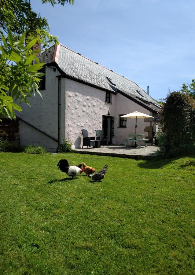 Farm Accommodation - The Lizard Peninsula, Cornwall Хелстън Екстериор снимка